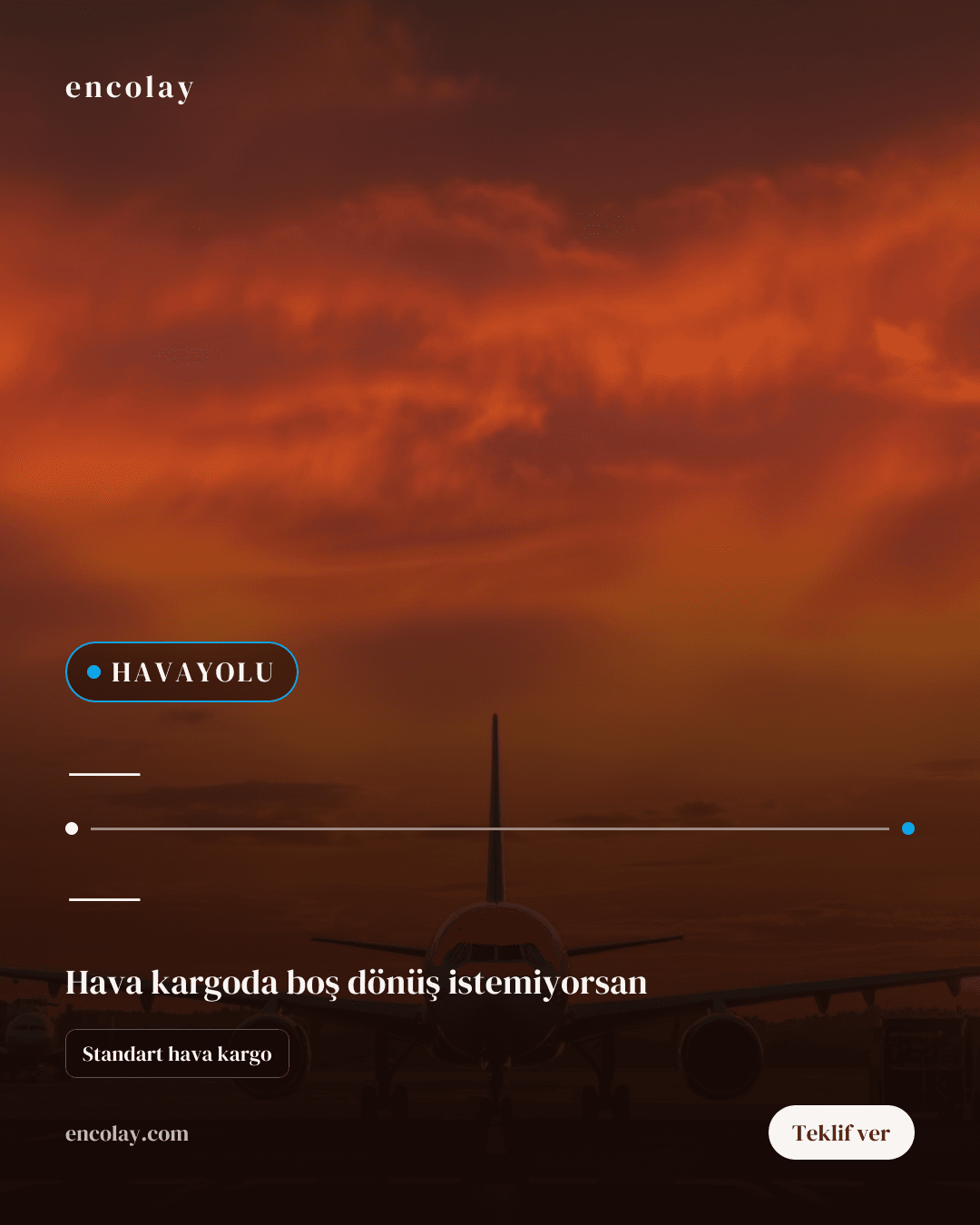 Uluslararası Havayolu Taşımacılığı İş Ortaklığı
