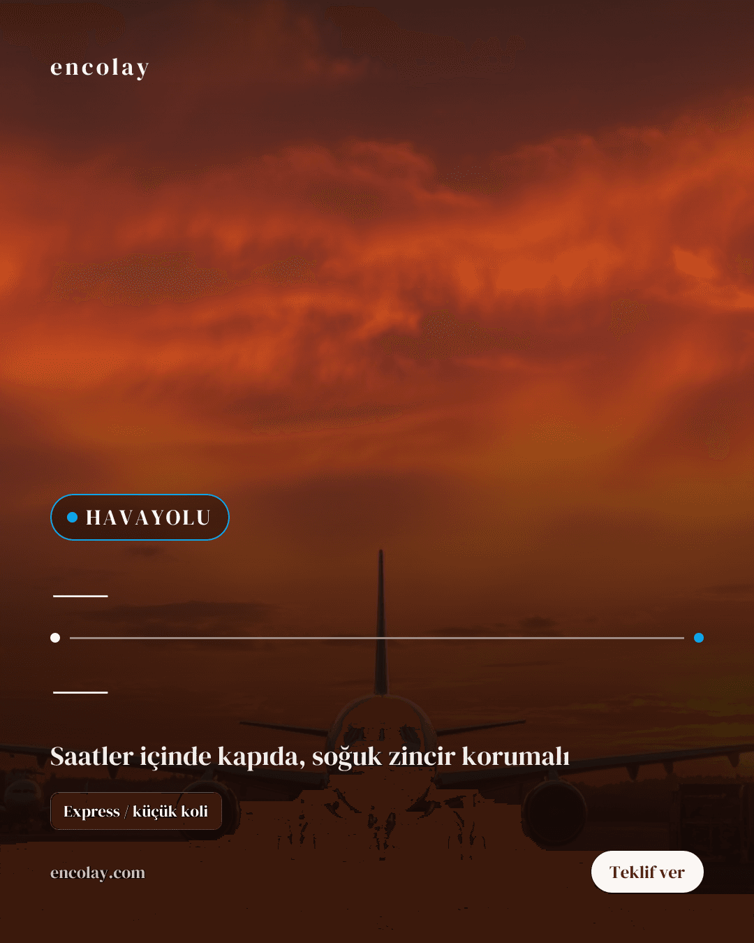 Uluslararası Havayolu Taşımacılığı İş Başvurusu