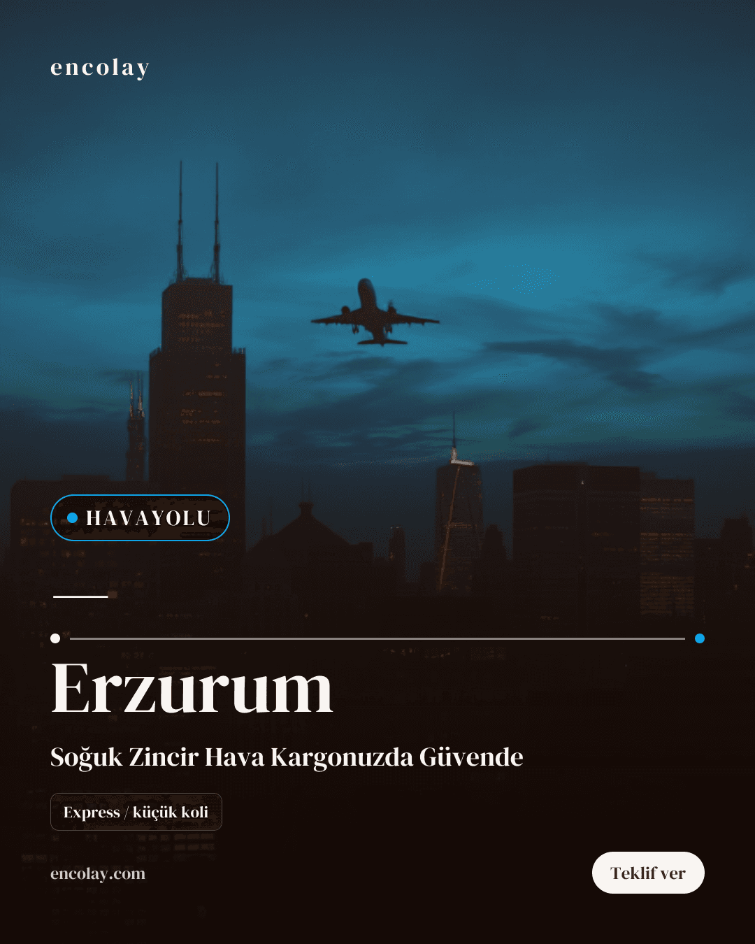Erzurum havayolu taşıma talebi