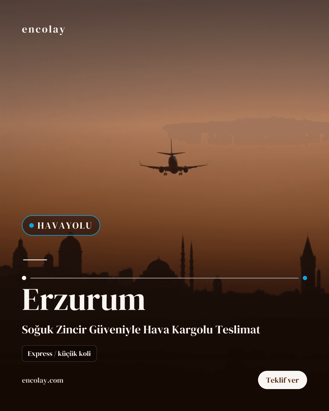 Erzurum İçi Kargo Dağıtım Hizmeti