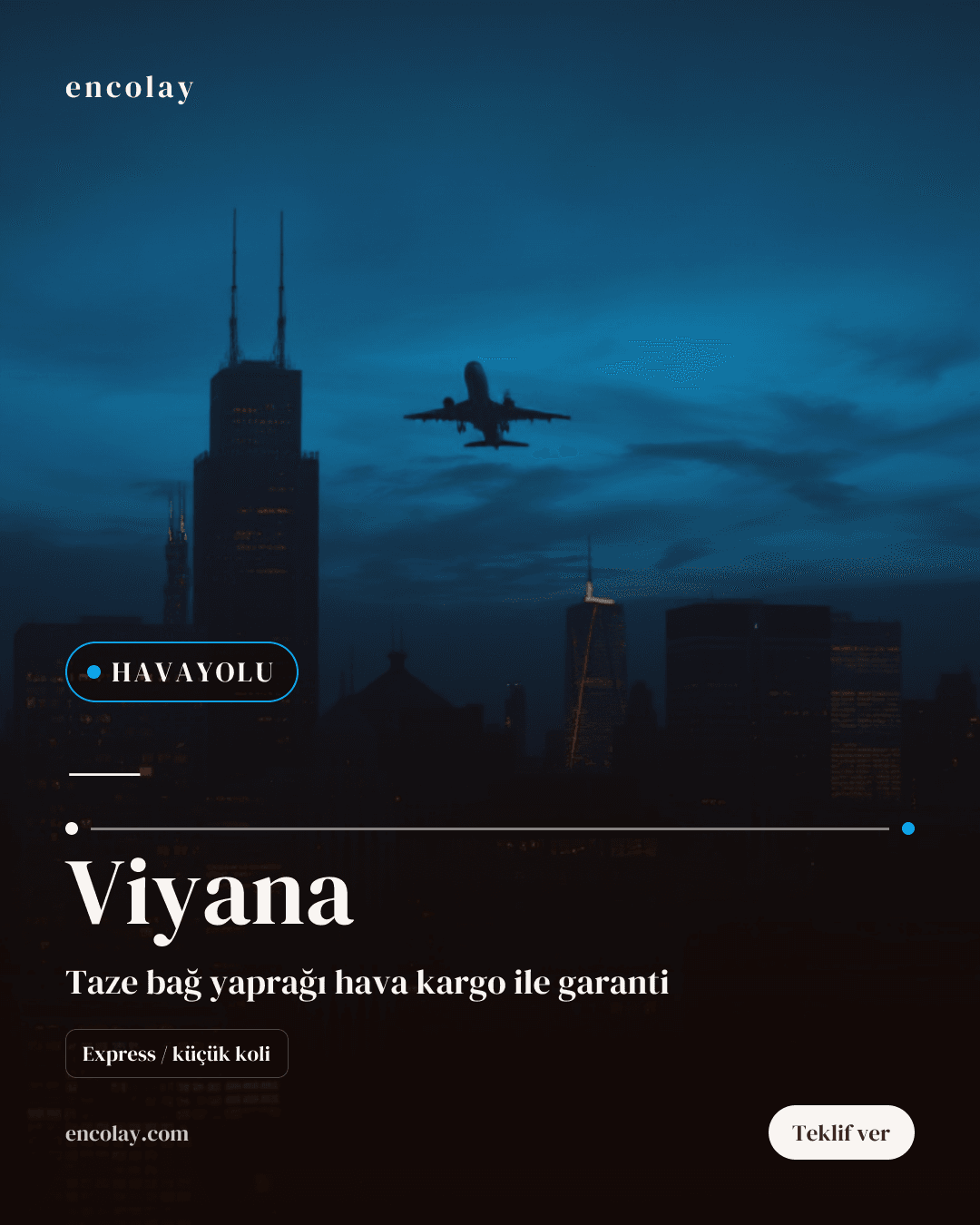 Türkiye-Viyana Bağ Yaprağı Havayolu Taşıması